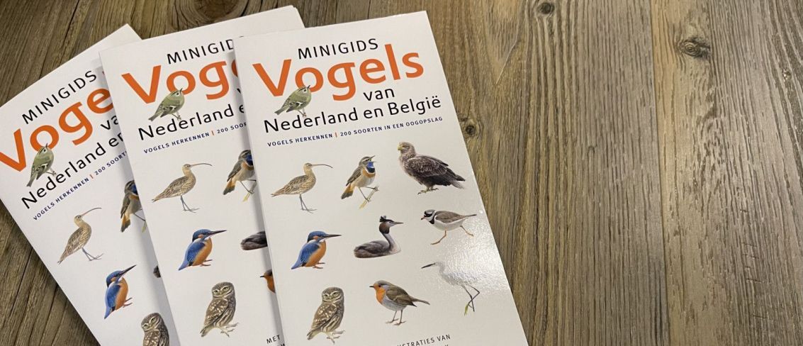 Minigids/Natuurwijzer Vogels van Nederland en België - Webshop VVV Ameland